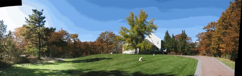 Panoramic view of a lawn and trees in autumn