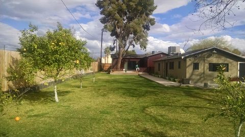 Backyard lawn with a fruit tree and small house
