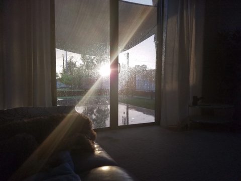Sunlight streaming through a window