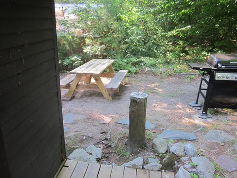 Picnic table and grill in the woods