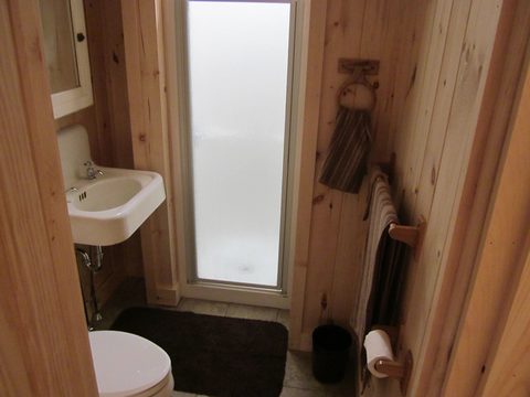 Small bathroom with wood-paneled walls